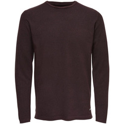 Vêtements Homme Pulls Only & Sons  22006790 Rouge