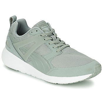 Chaussures Homme Baskets basses Puma ARIAL EVOLUTION Gris