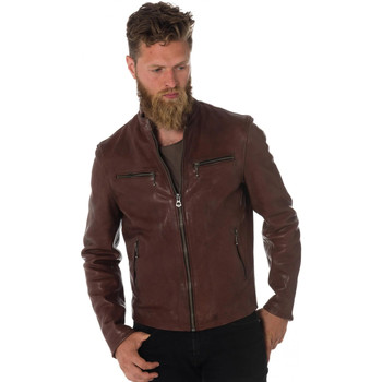 Vêtements Homme Vestes en cuir / synthétiques Daytona TRITON COW VEG BRANDY Cognac