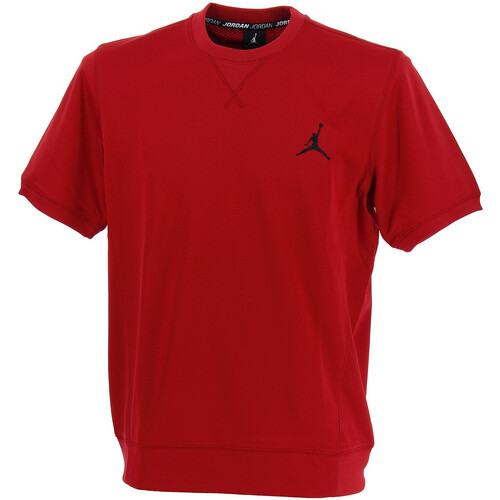 Vêtements Homme T-shirts & Polos multicolor Nike Jordan Dominate Rouge