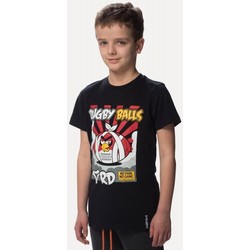 Vêtements Enfant T-shirts & Polos Rugby Division T-SHIRT RUGBY BALLS - RUGBY DI Noir