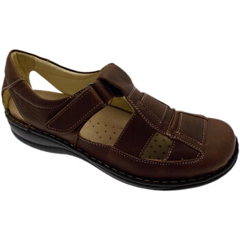 Chaussures Sandales et Nu-pieds Calzaturificio Loren LOM2375m Marron