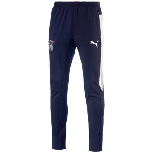 Vêtements Homme Pantalons de survêtement Puma Pantalon d'entraînement  FIGC Italia Bleu