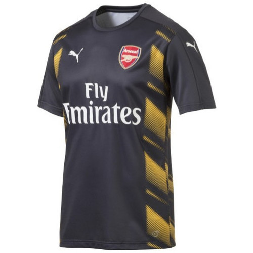 Vêtements Homme T-shirts & Polos Puma d'entraînement  Arsenal FC 2016/2017 Gris