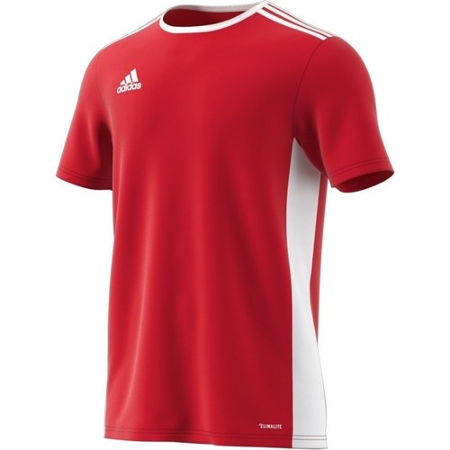 Vêtements Homme T-shirts manches courtes adidas Originals Entrada 18 Rouge, Blanc