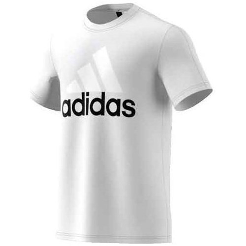 Vêtements Homme T-shirts manches courtes adidas Originals Performance Essentials Linear Tee Blanc