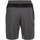 Vêtements Homme Shorts / Bermudas Under Armour HeatGear Raid 2.0 Novelty Gris