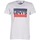 Vêtements Homme T-shirts manches courtes Levi's SPORTSWEAR LOGO GRAPHIC Gris