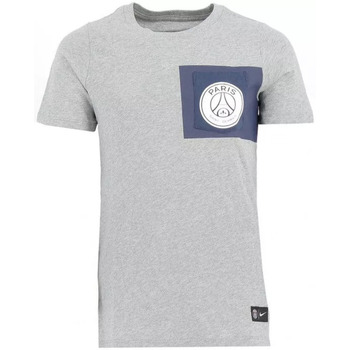 Vêtements Homme T-shirts manches courtes Nike Paris Saint-Germain Crest Gris