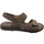 Chaussures Homme Sandales et Nu-pieds Uomodue UD50254ma Marron