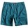 Vêtements Homme Shorts / Bermudas Quiksilver AQYWS00119-BRQ0 Bleu