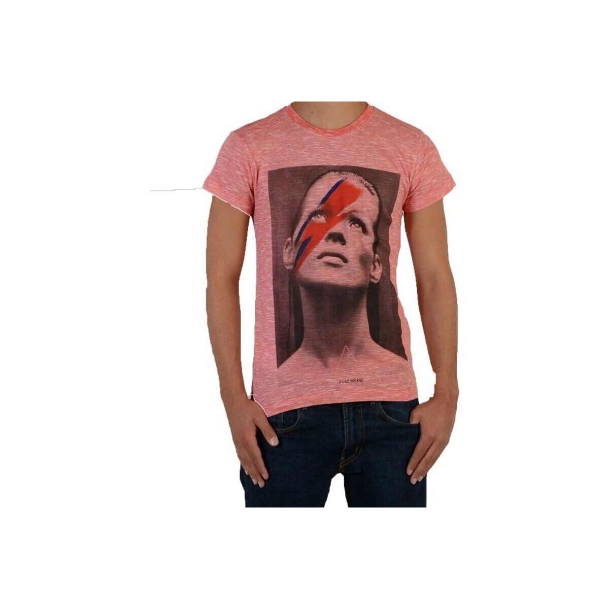 Vêtements Fille T-shirts Sherpa manches courtes Eleven Paris Katos SS Kate Moss Mixte Rouge