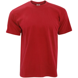 Vêtements Homme T-shirts pirates manches courtes B And C TU004 Rouge