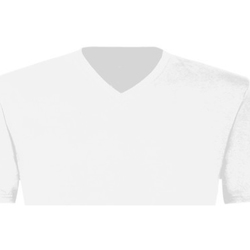 Vêtements Homme T-shirts pirates manches courtes B And C TU006 Blanc