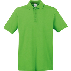 Vêtements Homme sweatshirt med grafisk tryk Fruit Of The Loom 63218 Vert clair