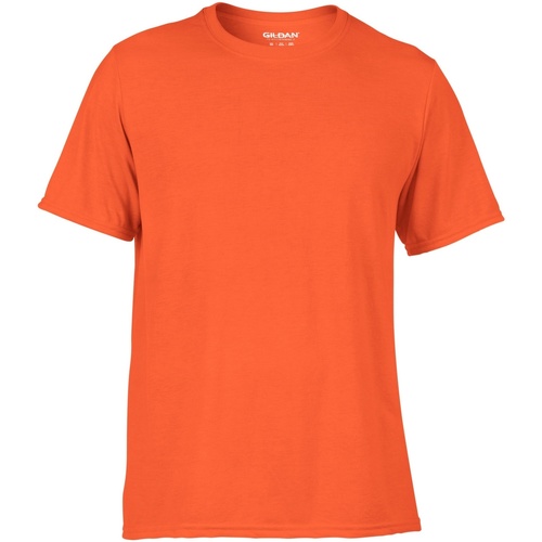 Vêtements Homme The Divine Facto Gildan 42000 Orange