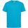 Vêtements Homme T-shirts manches courtes Russell R155M Bleu