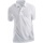 Vêtements Homme Polos manches courtes Xpres XP503 Blanc