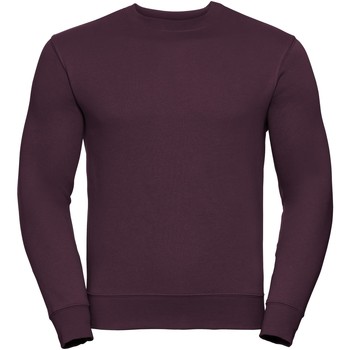 Vêtements Homme Sweats Russell Sweatshirt BC2067 Multicolore