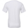 Vêtements Homme T-shirts manches courtes Bella + Canvas CA3005 Blanc
