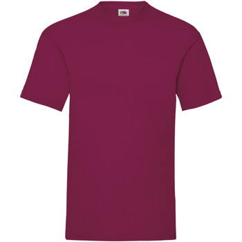 Vêtements Homme T-shirts manches courtes Fruit Of The Loom 61036 Multicolore