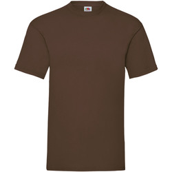 Vêtements Homme T-shirts manches courtes Fruit Of The Loom 61036 Marron