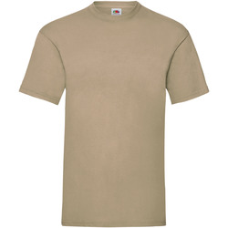 Vêtements Homme T-shirts manches courtes Fruit Of The Loom 61036 Beige
