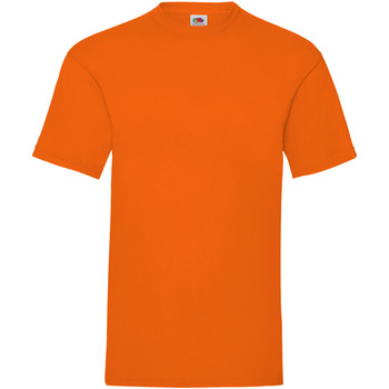 Vêtements Homme T-shirts manches courtes Fruit Of The Loom 61036 Orange