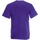 Vêtements Homme T-shirts manches courtes Fruit Of The Loom 61036 Violet