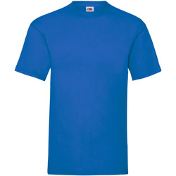 Vêtements Homme T-shirts manches courtes Fruit Of The Loom 61036 Bleu roi