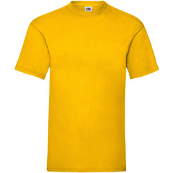 Vêtements Homme T-shirts manches courtes Fruit Of The Loom 61036 Jaune