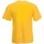Vêtements Homme T-shirts manches courtes Alpine Pro Kurzärmeliges T-shirt 61036 Multicolore