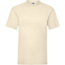 Vêtements Homme T-shirts and manches courtes Fruit Of The Loom 61036 Blanc cassé