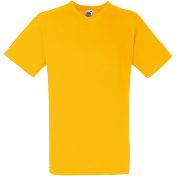 Vêtements Homme T-shirts manches courtes Fruit Of The Loom 61066 Tournesol