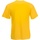 Vêtements Homme T-shirts manches courtes Fruit Of The Loom 61066 Multicolore