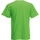 Vêtements Homme T-shirts manches courtes Fruit Of The Loom 61082 Vert