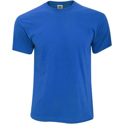 Vêtements Homme T-shirts manches courtes Fruit Of The Loom 61082 Bleu roi