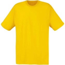 Vêtements Homme T-shirts manches courtes Fruit Of The Loom 61082 Jaune  pale