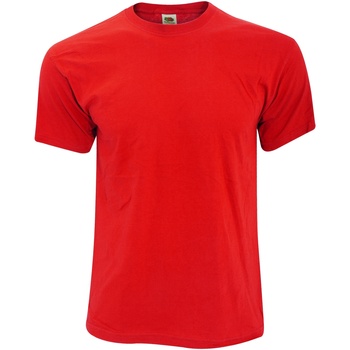 Vêtements Homme T-shirts aqua manches courtes Fruit Of The Loom 61082 Rouge