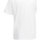 Vêtements Homme T-shirts WIP manches courtes Fruit Of The Loom 61082 Blanc