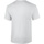 Vêtements Homme T-shirts manches courtes Gildan Ultra Blanc