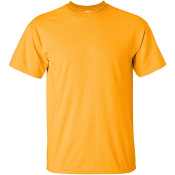 Vêtements Homme T-shirts manches courtes Gildan Ultra Or