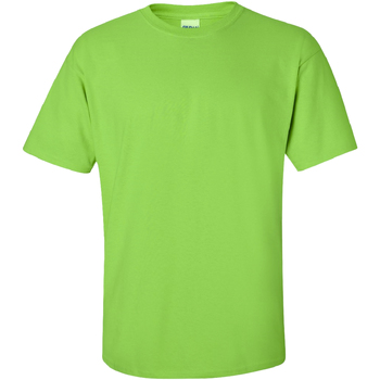 Vêtements Homme T-shirts manches courtes Gildan Ultra Vert citron