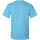 Vêtements Homme T-shirts manches courtes Gildan Ultra Bleu