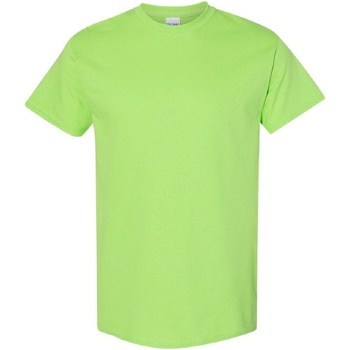 Vêtements Homme T-shirts manches courtes Gildan Heavy Vert citron