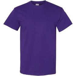 Vêtements Homme T-shirts manches courtes Gildan Heavy Violet