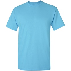 Vêtements Homme T-shirts manches courtes Gildan Heavy Bleu ciel