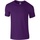 Vêtements Homme T-shirts manches courtes Gildan Softstyle Violet