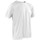 Vêtements Homme T-shirts manches courtes Spiro S253M Blanc