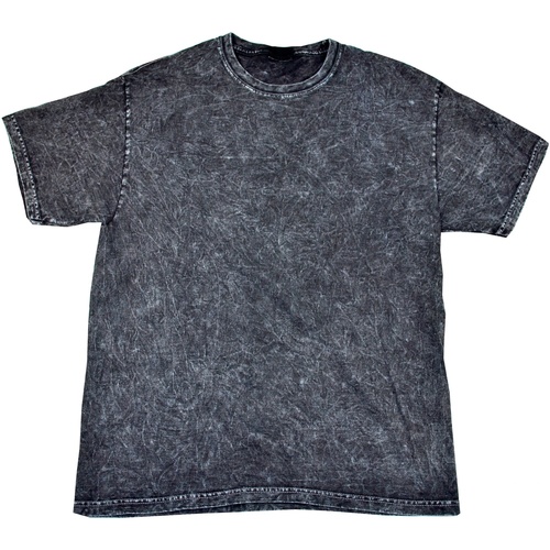Vêtements Homme T-shirts manches courtes Colortone Mineral Noir